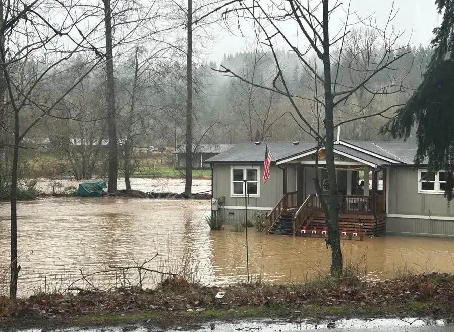Brown floodwater from a creek surrounding a house below a wet, wooded hillside